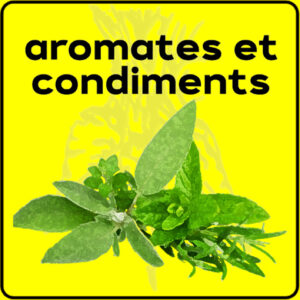 Filet de protection très solide en 10 mètres de large.