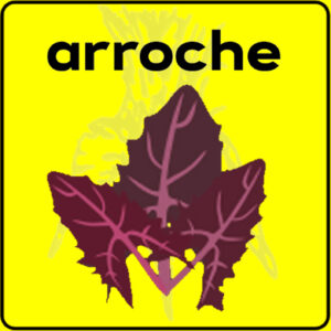 Filet de protection très solide en 10 mètres de large.