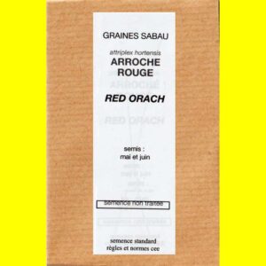 Arroche-rouge-Red-Orach Arroche - RED ORACH (rouge)
