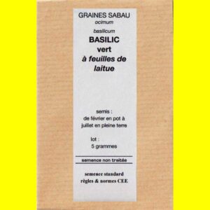 Basilic-vert-à-feuilles-de- Basilic - NAPOLITO (vert à feuille de laitue)