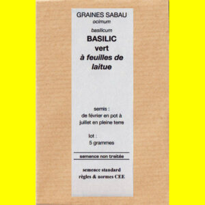 Basilic - NAPOLITO (vert à feuille de laitue)