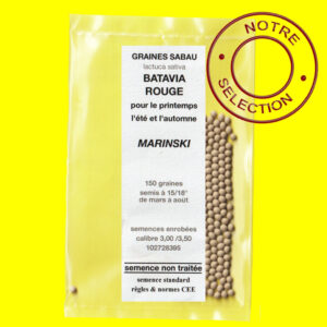 Batavia Marinsli copie Laitue batavia rouge - MARINSKI (semences enrobées)