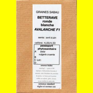 Betterave potagere blanches - AVALANCHE F1