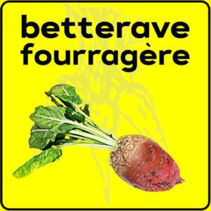 Filet de protection très solide en 10 mètres de large.