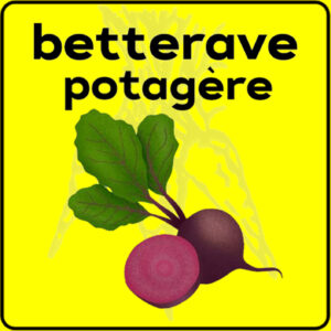 Filet de protection très solide en 10 mètres de large.