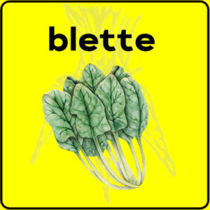 Filet de protection très solide en 10 mètres de large.