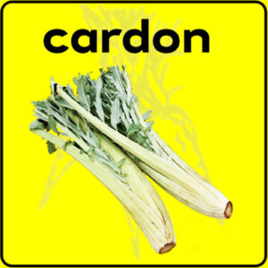 Filet de protection très solide en 10 mètres de large.