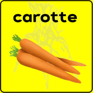 Filet de protection très solide en 10 mètres de large.