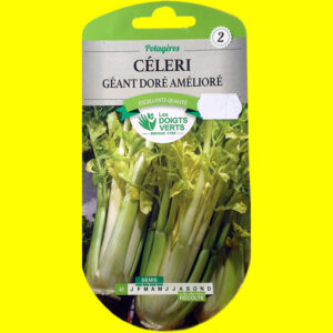 Céleri - GEANT DORE (2gr)