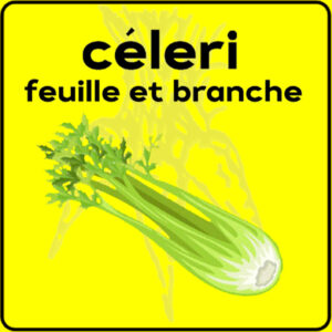 Filet de protection très solide en 10 mètres de large.