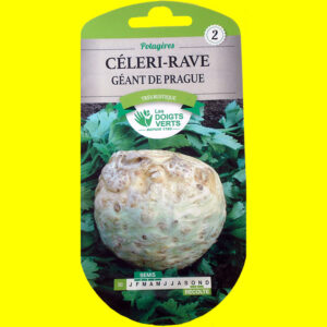 OLYMPUS DIGITAL CAMERA Céleri rave - GEANT DE PRAGUE (3gr)