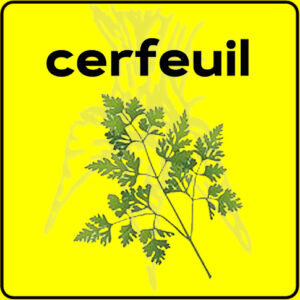 Filet de protection très solide en 10 mètres de large.