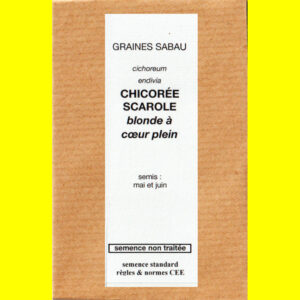 Chicorée scarole - blonde à coeur plein