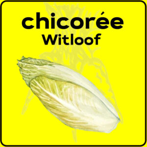 Filet de protection très solide en 10 mètres de large.