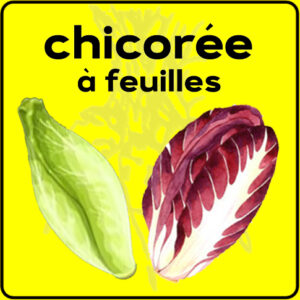 Filet de protection très solide en 10 mètres de large.