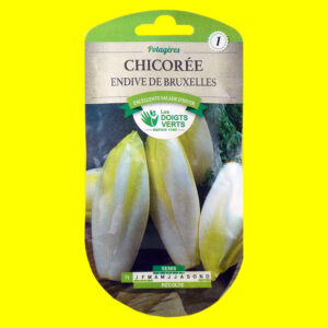 Chicorée witloof - DI BRUXELLES (endive) (5gr)