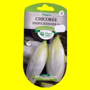 Chicorée à forcer - ZOOM F1 (3gr)