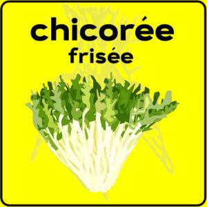 Filet de protection très solide en 10 mètres de large.