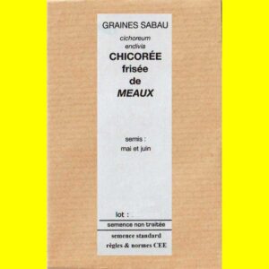 Chicorée frisée - DE MEAUX