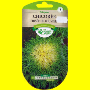 Chicorée frisée - FINE DE LOUVIERS (3gr)