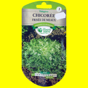Chicorée frisée - DE MEAUX (5gr)