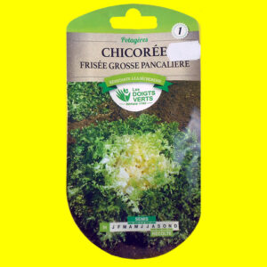 Chicorée frisée - PANCALIERE (3gr)