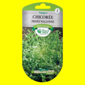 Chicorée frisée - WALLONE (3gr)