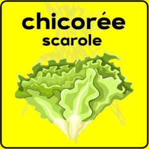 Filet de protection très solide en 10 mètres de large.