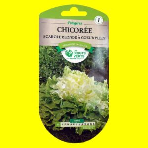Chicoree-scarole-blonde-a-c Chicorée scarole - BLONDE à COEUR PLEIN (4gr)