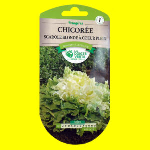 Chicorée scarole - BLONDE à CRUR PLEIN (4gr)