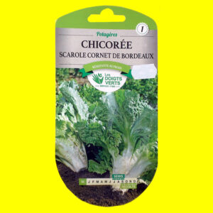 Chicorée scarole - CORNET DE BORDEAUX (4gr)