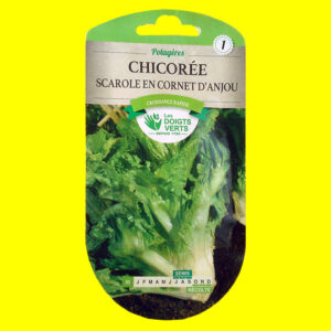 Chicorée scarole - CORNET D'ANJOU (3gr)