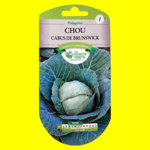 OLYMPUS DIGITAL CAMERA Chou cabus - BRUNSWICK (blanc) (5gr)