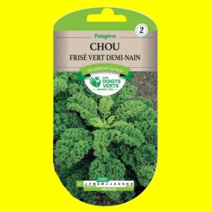 Chou Kale - VERT DEMI-NAIN (non pommé) (2 gr)