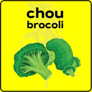 Filet de protection très solide en 10 mètres de large.