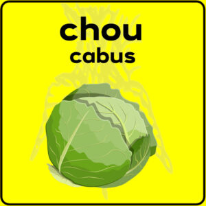 Filet de protection très solide en 10 mètres de large.