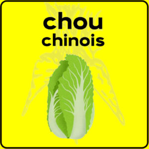 Filet de protection très solide en 10 mètres de large.