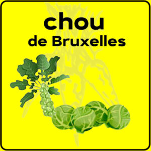 Filet de protection très solide en 10 mètres de large.