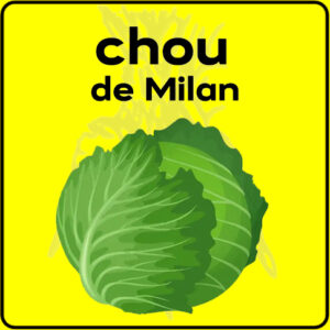 Filet de protection très solide en 10 mètres de large.