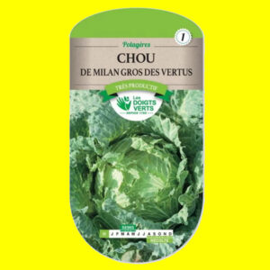 Chou de Milan - DES VERTUS / QUINTAL (vert) (5gr)