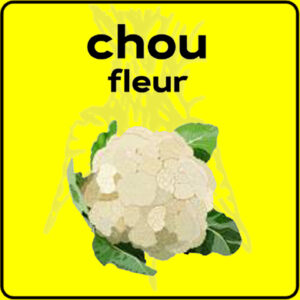 Filet de protection très solide en 10 mètres de large.