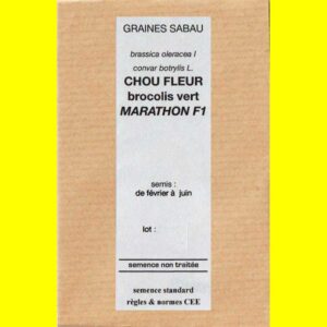 Chou brocoli - MARATHON F1 (vert)