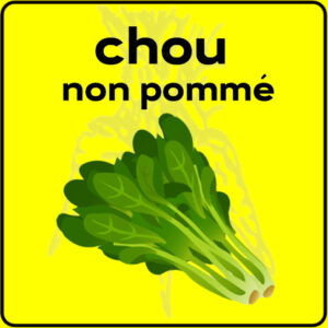 Filet de protection très solide en 10 mètres de large.