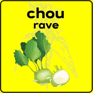 Filet de protection très solide en 10 mètres de large.