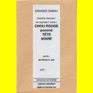 Chou rouge pommé Tête Noire copie Chou rouge - TETE NOIRE (pommé)