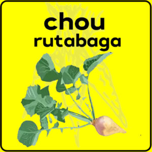 Filet de protection très solide en 10 mètres de large.