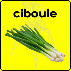 Filet de protection très solide en 10 mètres de large.