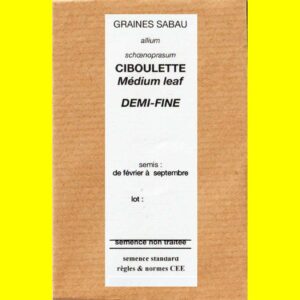Ciboulette-Medium-Leaf-Demi Ciboulette