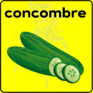 Filet de protection très solide en 10 mètres de large.