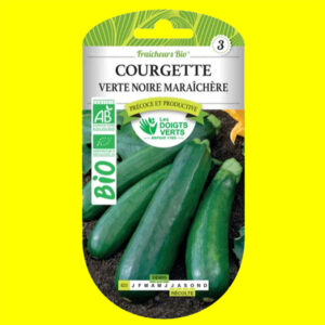 Courgette MARAICHERE Bio Courgette - MARAICHERE bio (longue verte) (3gr)